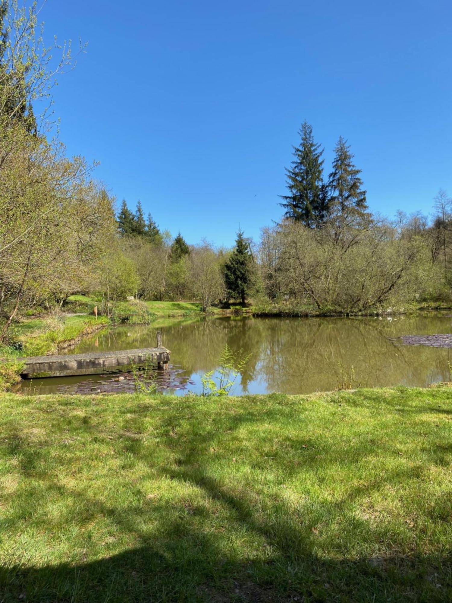 The Goose Nest Luxury Lakeside Shepherd Hut In Cardinham Woods, Cornwall Εξωτερικό φωτογραφία