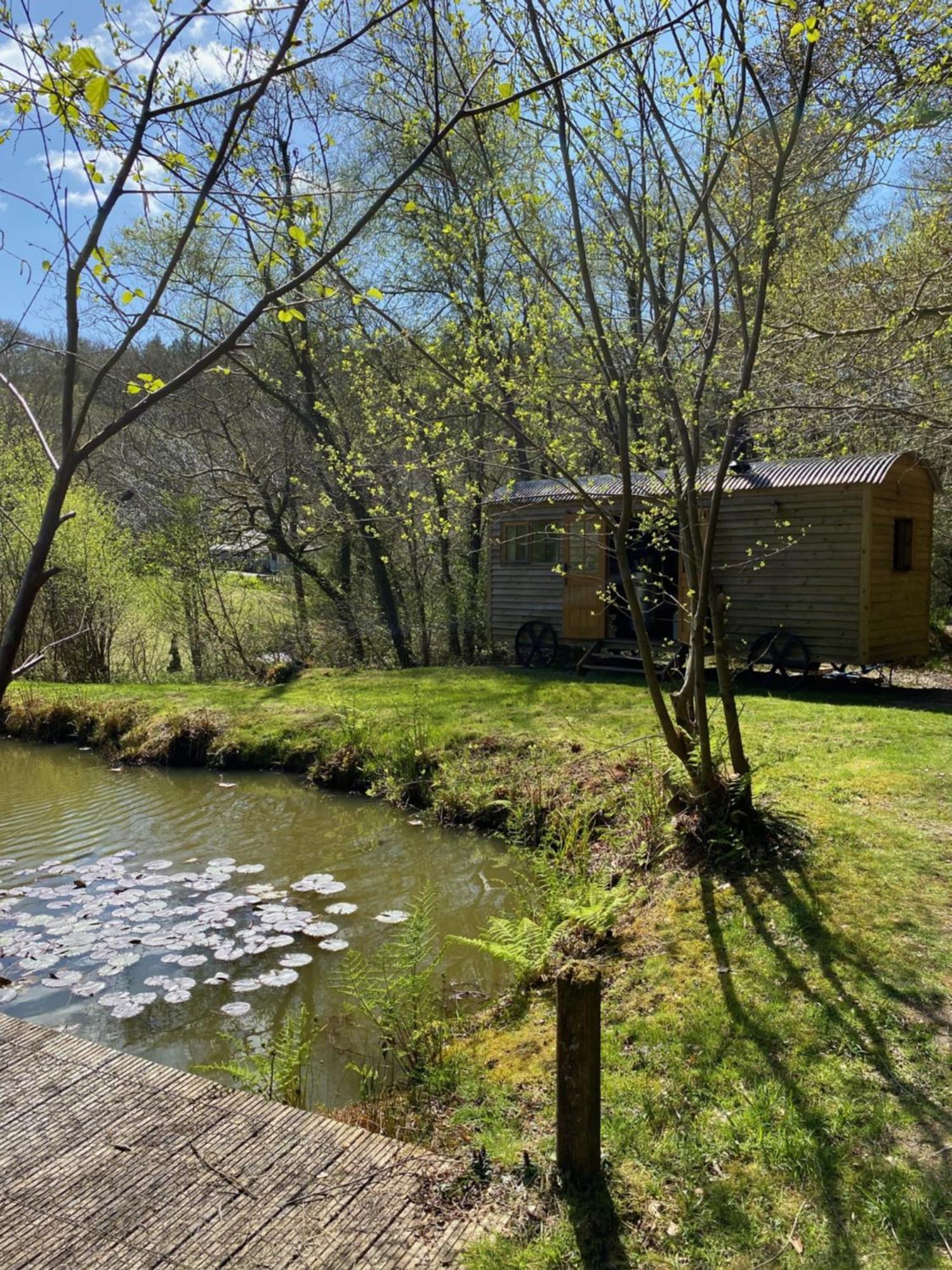 The Goose Nest Luxury Lakeside Shepherd Hut In Cardinham Woods, Cornwall Εξωτερικό φωτογραφία