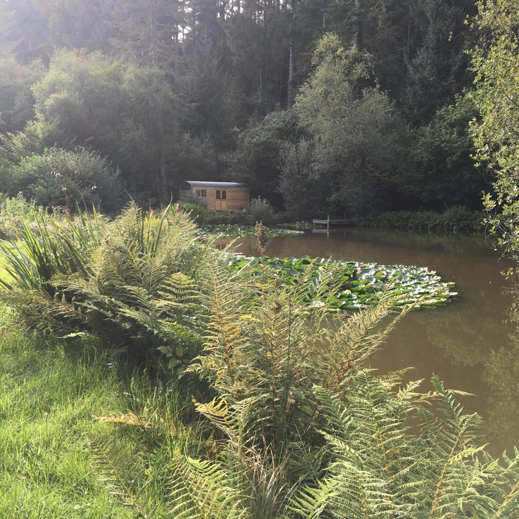 The Goose Nest Luxury Lakeside Shepherd Hut In Cardinham Woods, Cornwall Εξωτερικό φωτογραφία